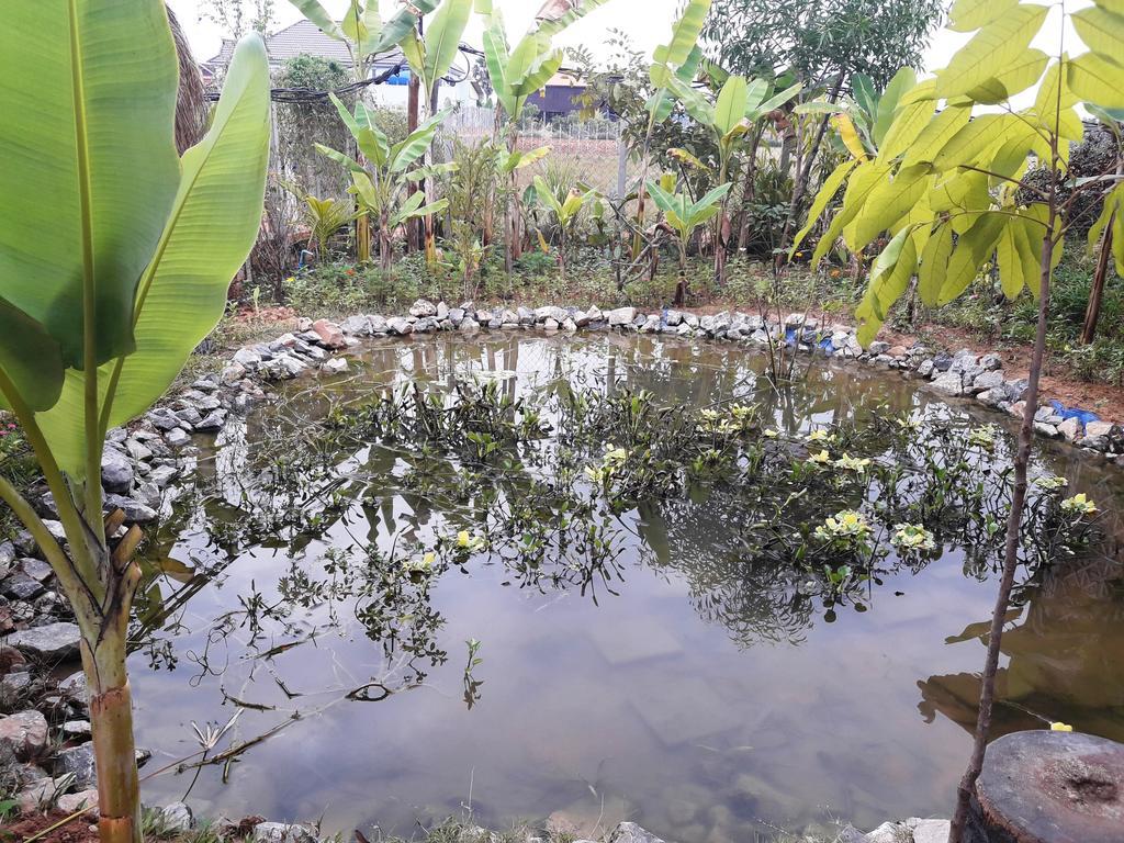 Angkor Rural Boutique Resort Sziemreap Kültér fotó