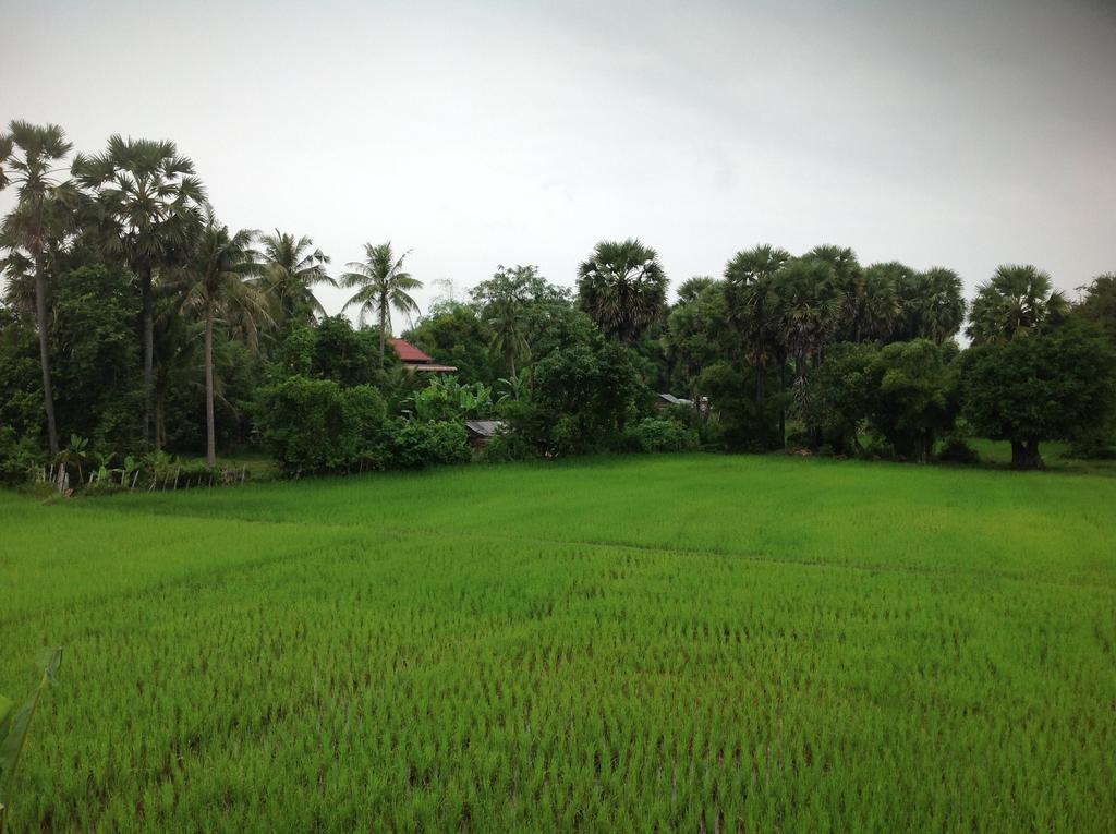 Angkor Rural Boutique Resort Sziemreap Kültér fotó