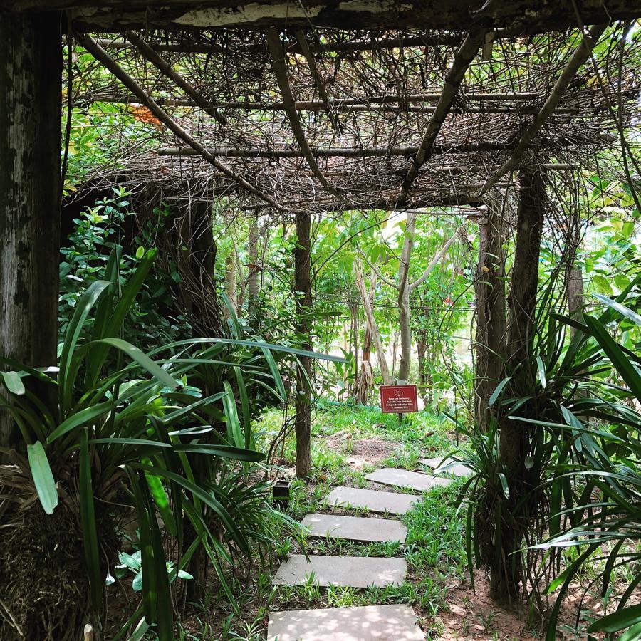Angkor Rural Boutique Resort Sziemreap Kültér fotó