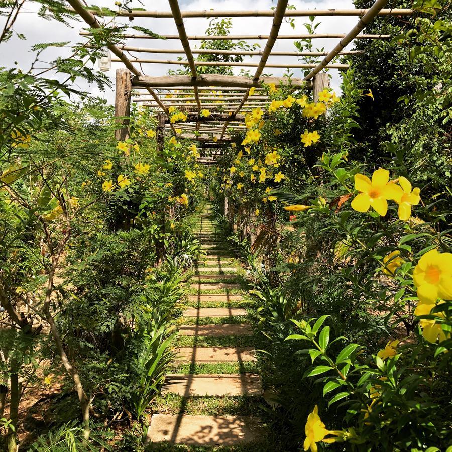 Angkor Rural Boutique Resort Sziemreap Kültér fotó