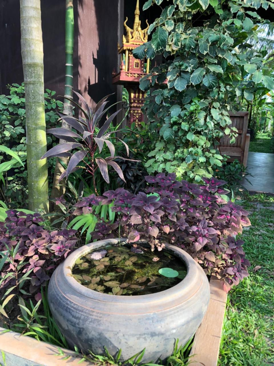 Angkor Rural Boutique Resort Sziemreap Kültér fotó